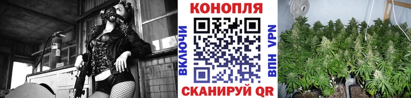 Купить где  Томилино  Канабис Amnesia 